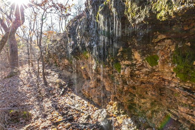 2333 CR 507, Berryville, AR 72616