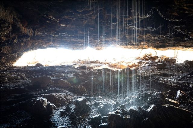 2333 CR 507, Berryville, AR 72616