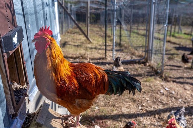 2333 CR 507, Berryville, AR 72616