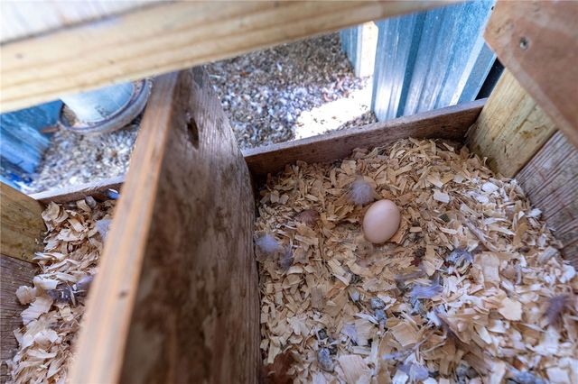 2333 CR 507, Berryville, AR 72616