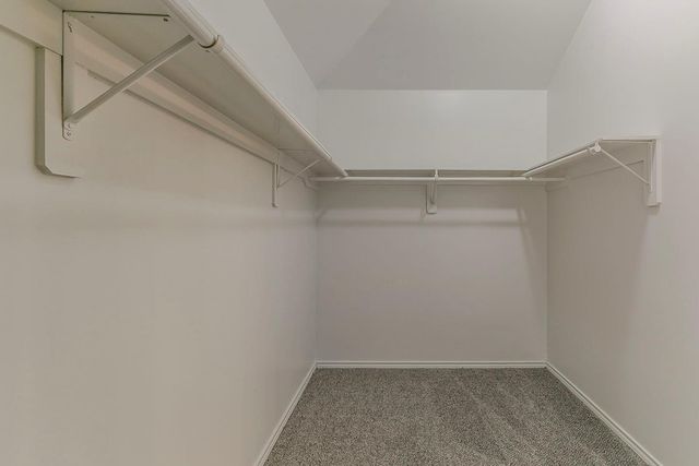 25810 Palmdale Estate Drive, Richmond, TX 77406