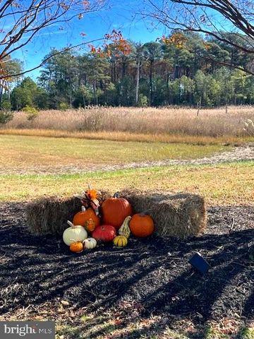 26773 CHATHAM LN, Millsboro, DE 19966