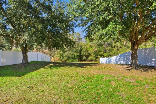 3245 HELMEL COURT, Land O Lakes, FL 34638