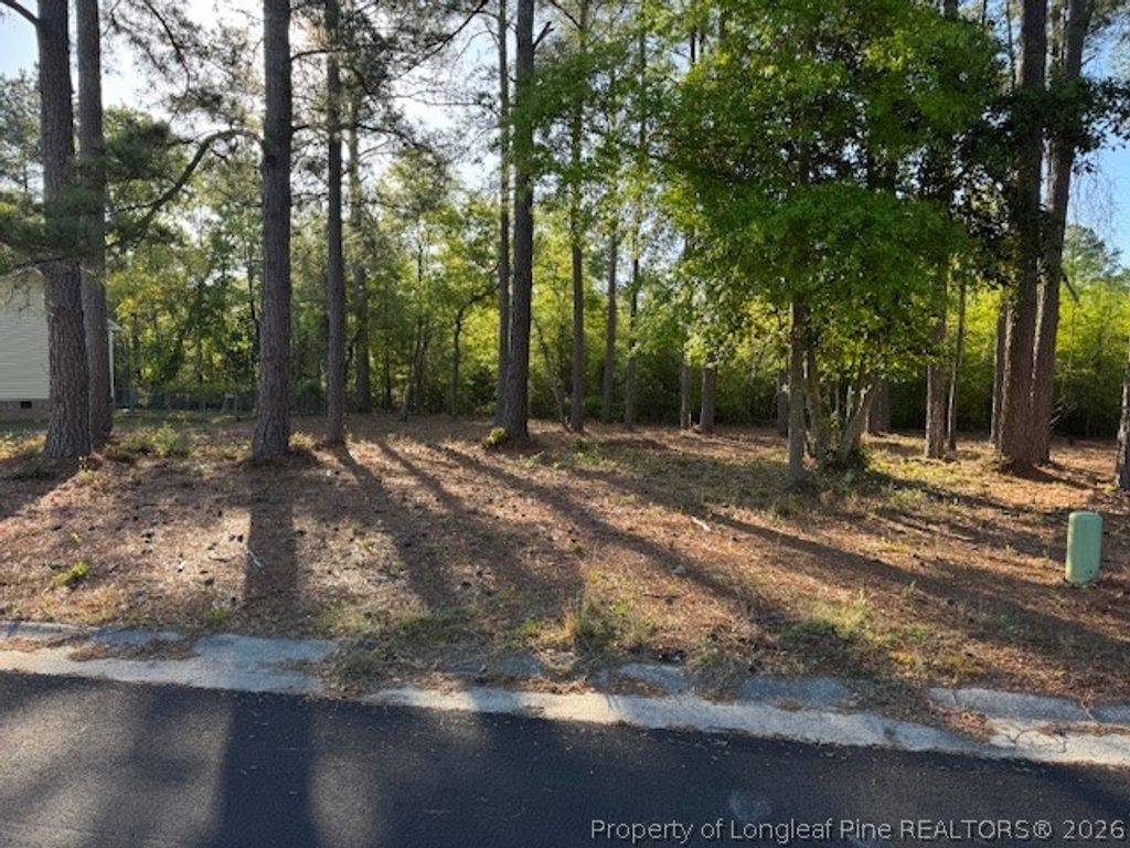 213 Waddell Drive, Fayetteville, NC 28301 — exterior
