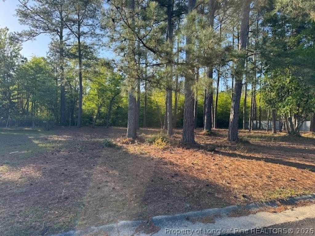 213 Waddell Drive, Fayetteville, NC 28301 — photo 2