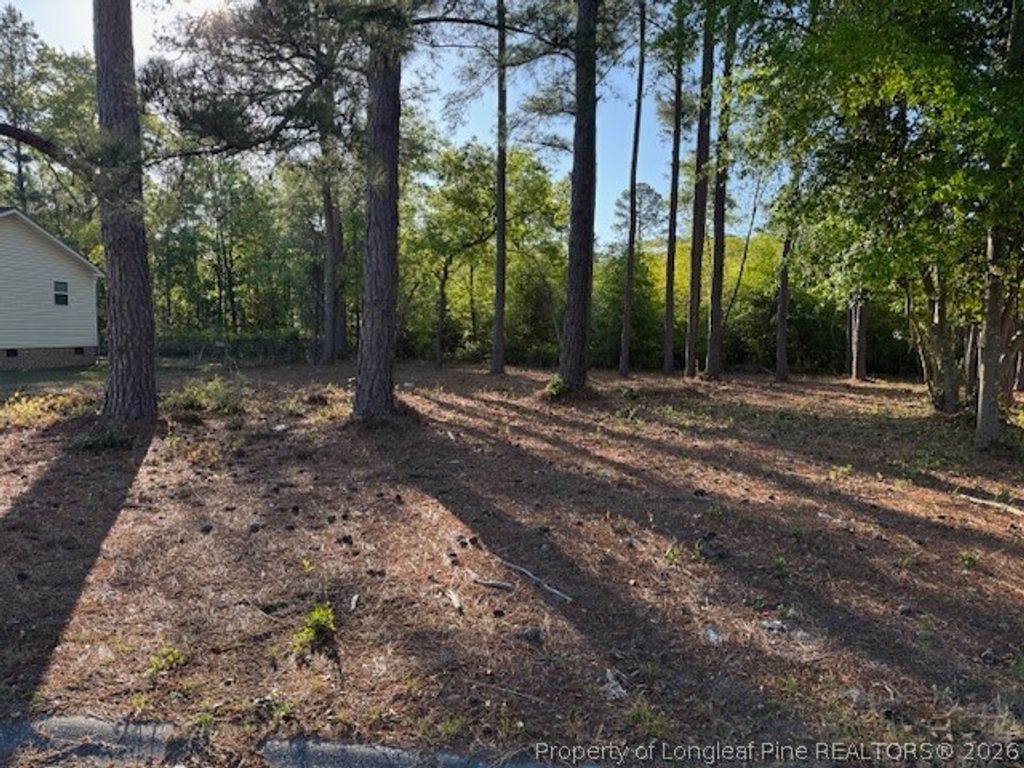 213 Waddell Drive, Fayetteville, NC 28301 — photo 3