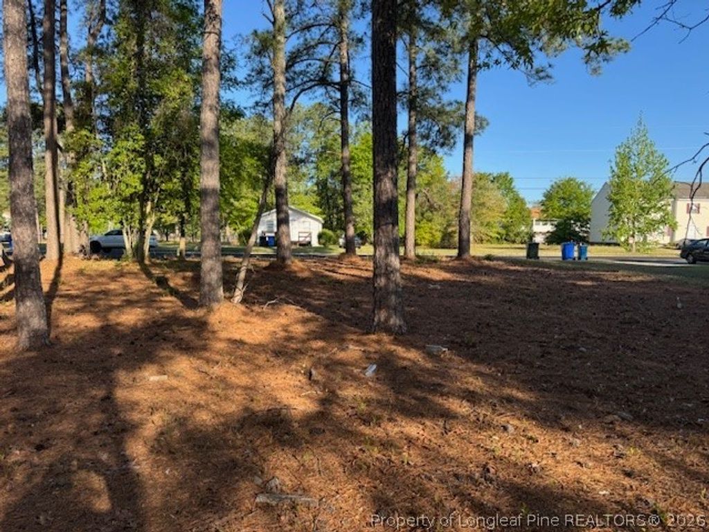 213 Waddell Drive, Fayetteville, NC 28301 — photo 4