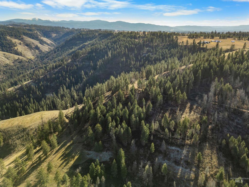 216 Ulmer Road, Kooskia, ID 83539 photo 11