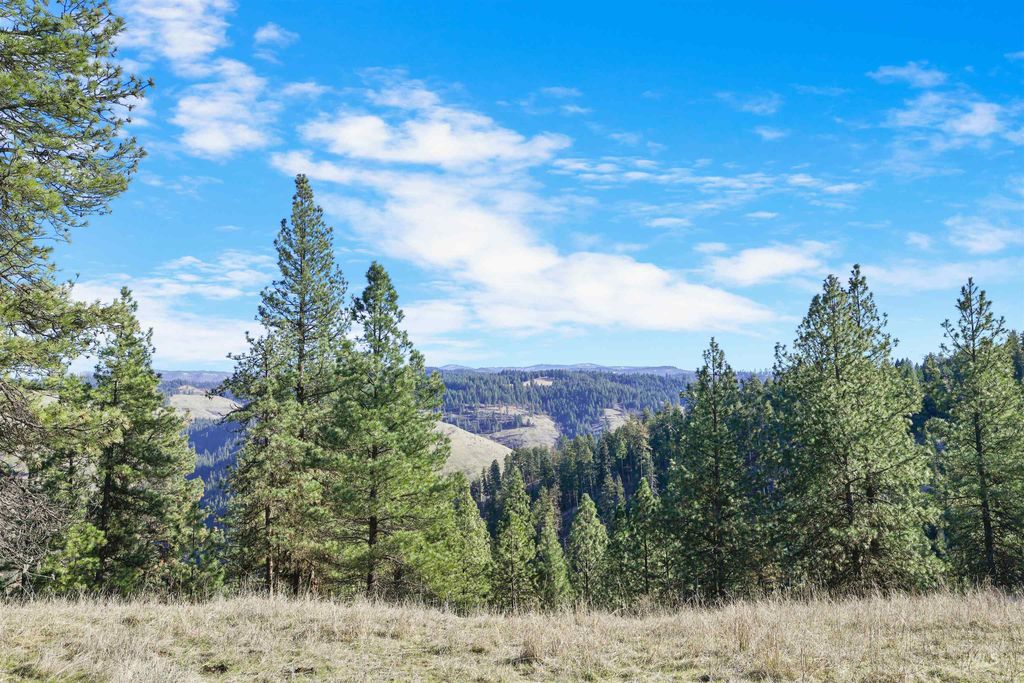 216 Ulmer Road, Kooskia, ID 83539 photo 18