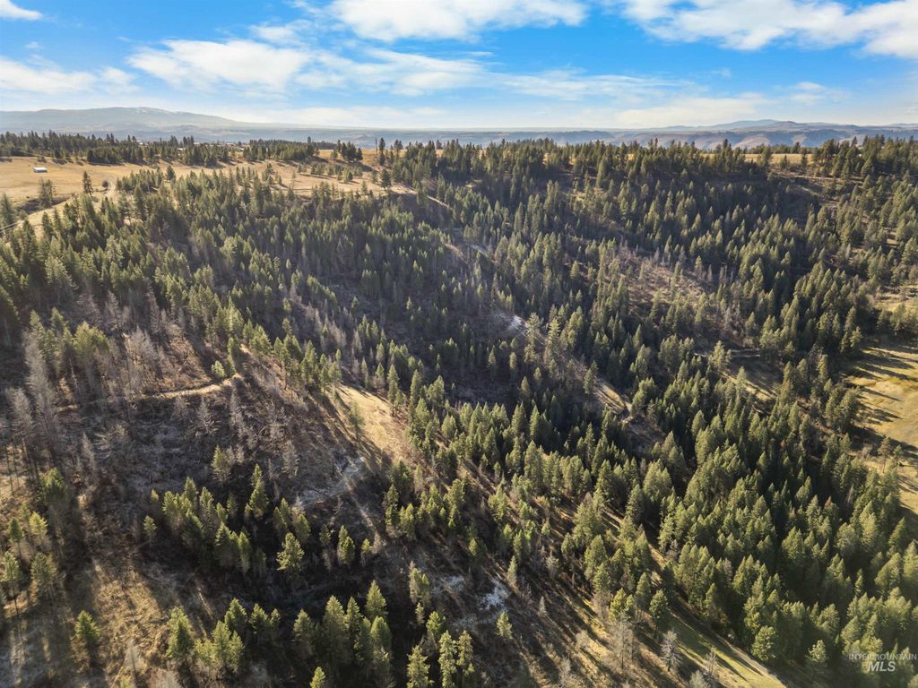 216 Ulmer Road, Kooskia, ID 83539 photo 3