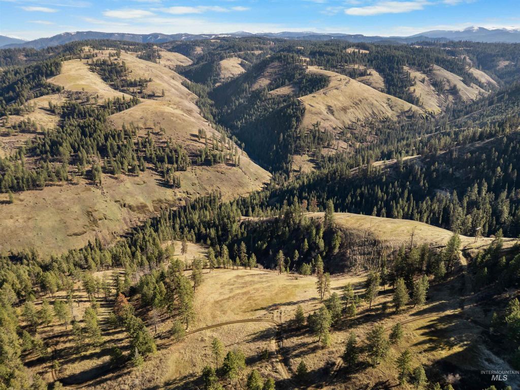 216 Ulmer Road, Kooskia, ID 83539 photo 8