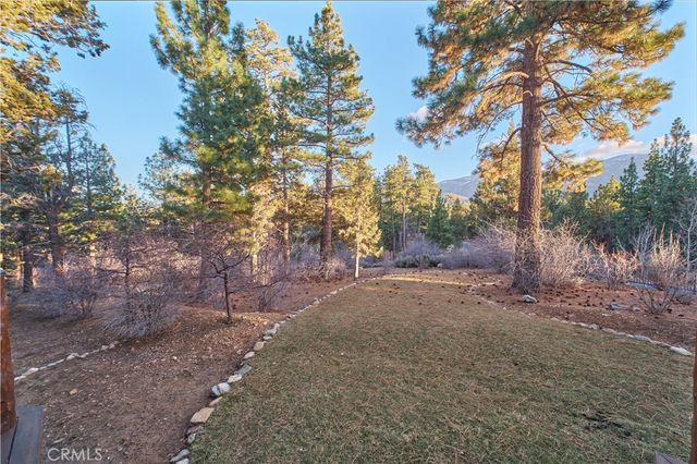 664 Cedar Glen Drive, Big Bear City, CA 92314