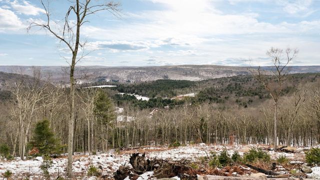 125 Mapes Road, Barryville, NY 12719