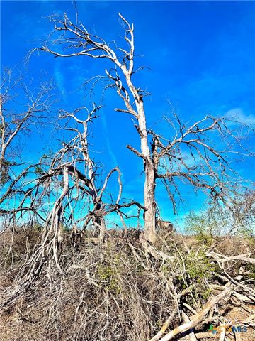 TBD TraCT H Scull Rd, Martindale, TX 78655