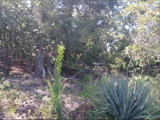 Highland Blvd S, Briarcliff, AR 72653