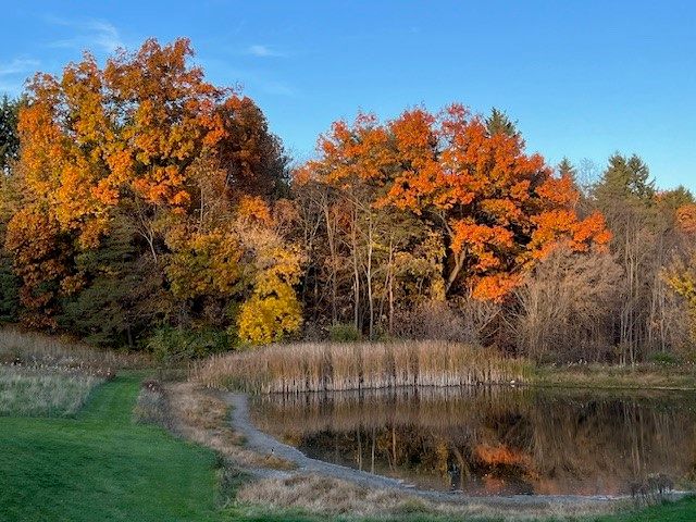 7340 Dryer Road, Victor, NY 14564