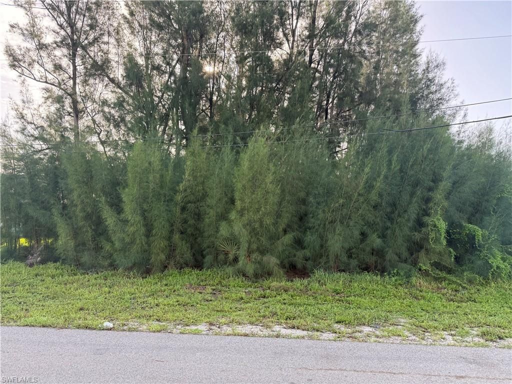 137 SW 34th AVE, Cape Coral, FL 33991