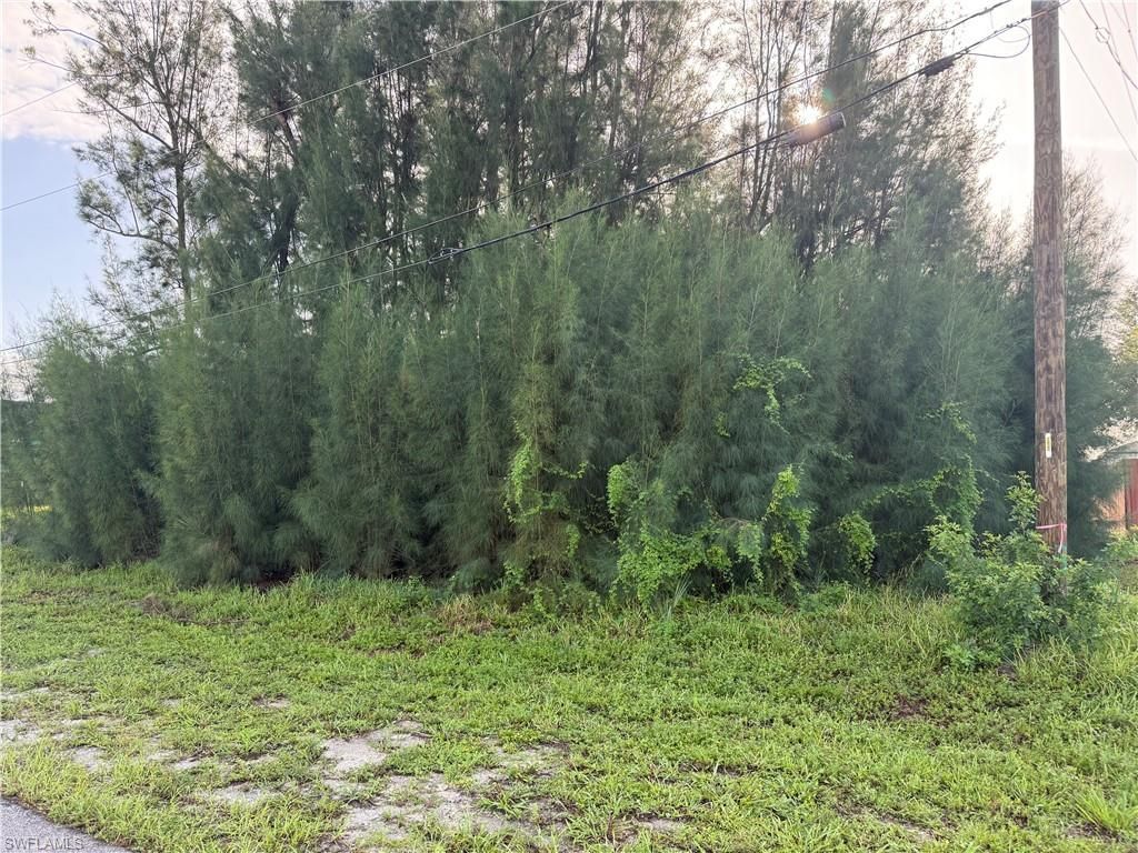 137 SW 34th AVE, CAPE CORAL, FL 33991 — photo 2