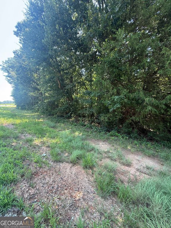 0 Anderson HWY, Elberton, GA 30635 — photo 2