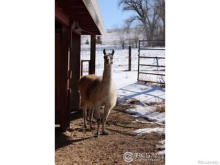 1034 Spring Drive, Boulder, CO 80303