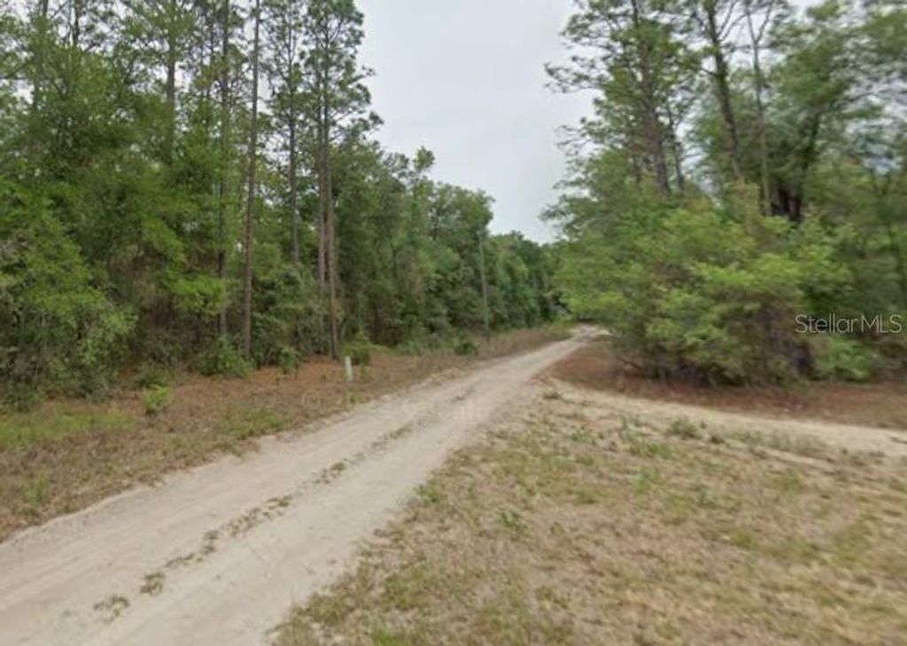 7715 & 7691 W RAINBOW STREET, Dunnellon, FL 34433