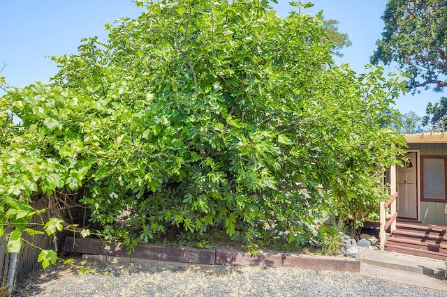 848 NE 8th Street, Grants Pass, OR 97526