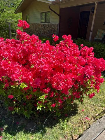 161 King Arthur Drive, Fairfield Bay, AR 72088