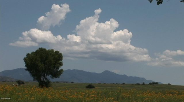 000 Forest Road 4748 Road, Patagonia, AZ 85624