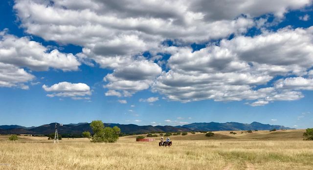 000 Forest Road 4748 Road, Patagonia, AZ 85624