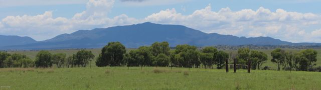 000 Forest Road 4748 Road, Patagonia, AZ 85624