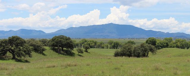 000 Forest Road 4748 Road, Patagonia, AZ 85624