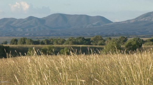 000 Forest Road 4748 Road, Patagonia, AZ 85624