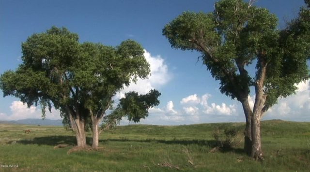 000 Forest Road 4748 Road, Patagonia, AZ 85624