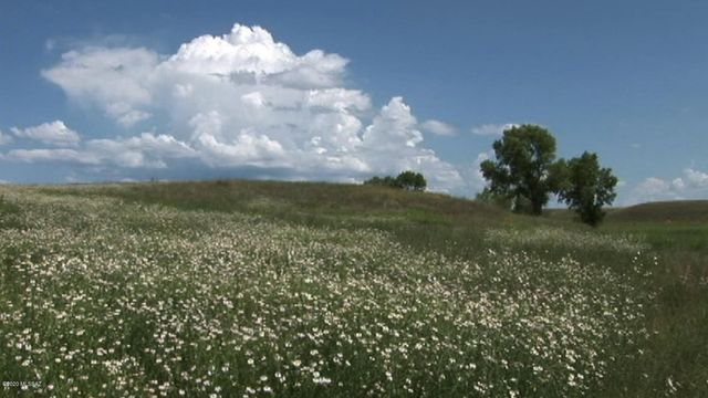 000 Forest Road 4748 Road, Patagonia, AZ 85624