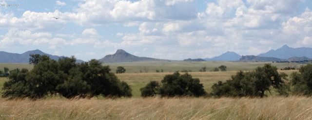 000 Forest Road 4748 Road, Patagonia, AZ 85624