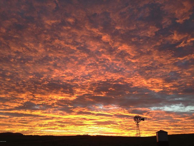 000 Forest Road 4748 Road, Patagonia, AZ 85624