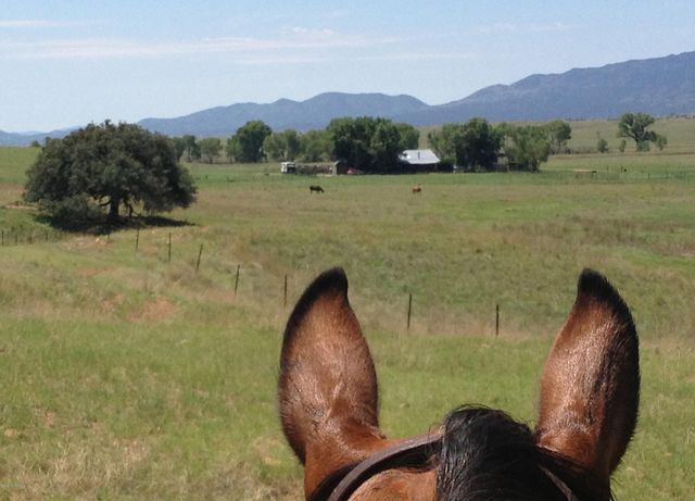 000 Forest Road 4748 Road, Patagonia, AZ 85624