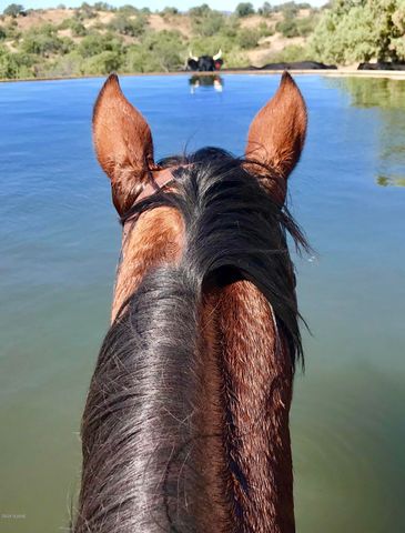 000 Forest Road 4748 Road, Patagonia, AZ 85624