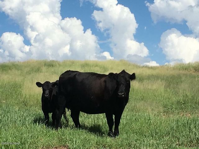 000 Forest Road 4748 Road, Patagonia, AZ 85624