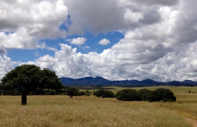 000 Forest Road 4748 Road, Patagonia, AZ 85624