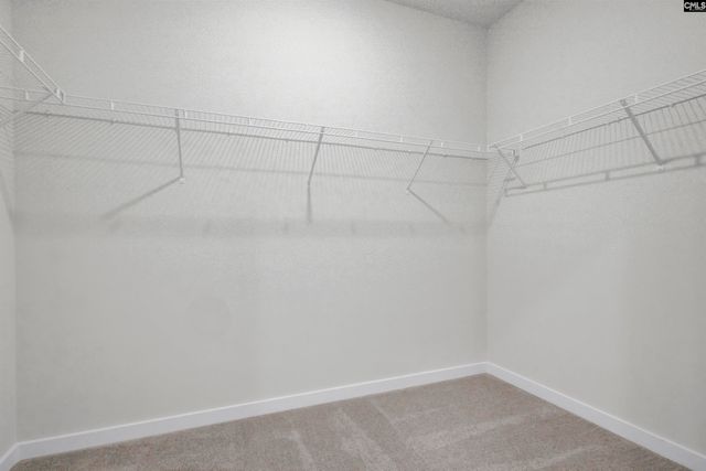 305 Welbeck Road, Lexington, SC 29073