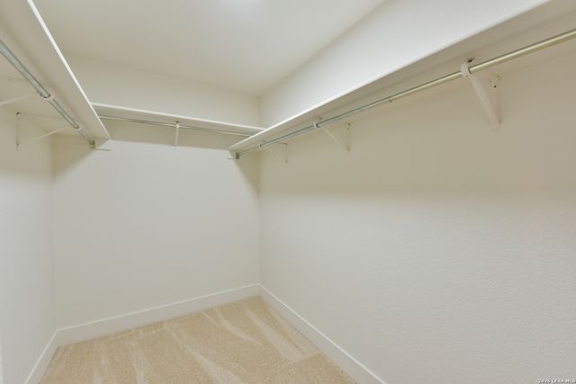 2323 Boxer Palm, San Antonio, TX 78213