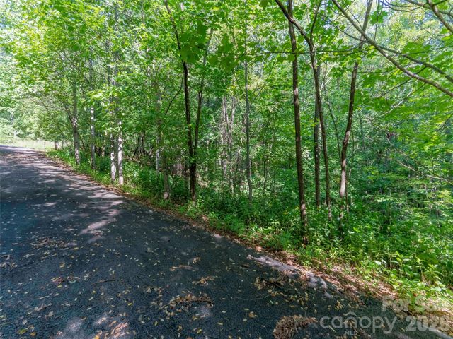 Lot 177 Grafton None, Mill Spring, NC 28756