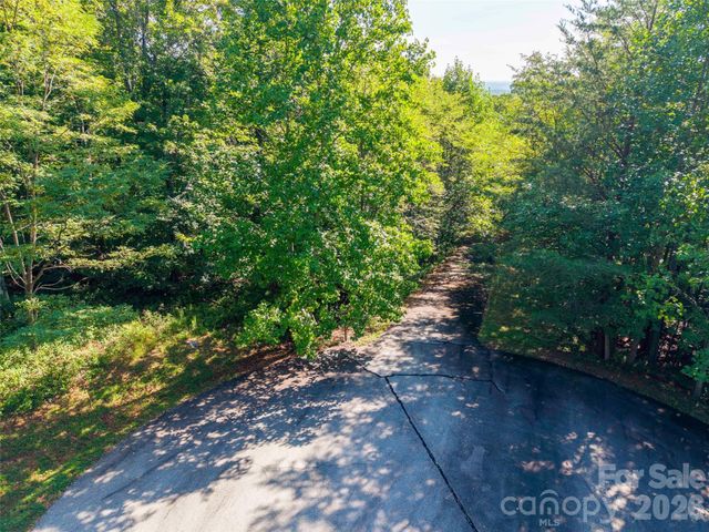 Lot 177 Grafton None, Mill Spring, NC 28756