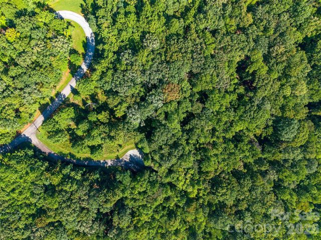 Lot 177 Grafton None, Mill Spring, NC 28756