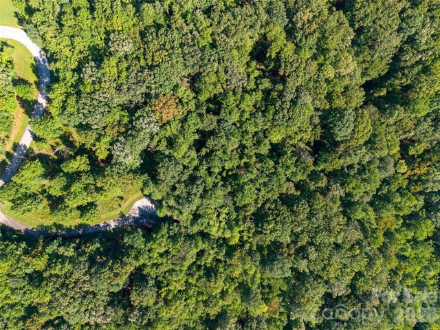 Lot 177 Grafton None, Mill Spring, NC 28756