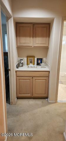 102 Cardigan Court, Manchester, NJ 08759