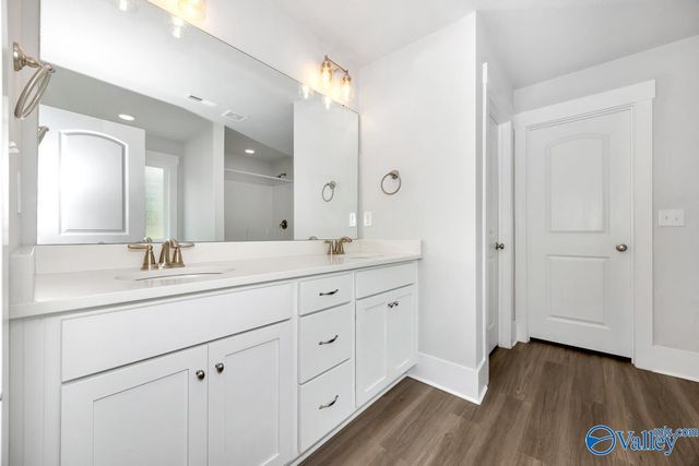 100 River Springs Court, New Market, AL 35761