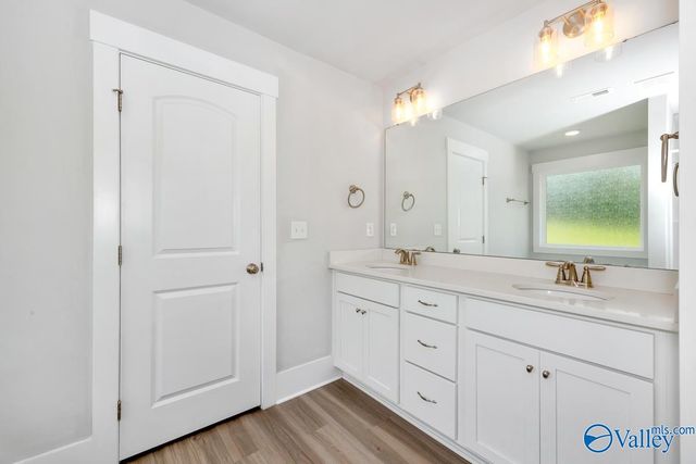 100 River Springs Court, New Market, AL 35761