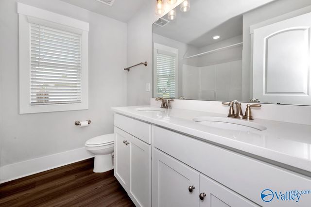100 River Springs Court, New Market, AL 35761